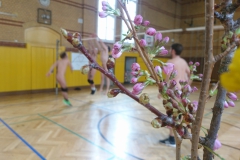 PhotoEditor_20190324_192628524
